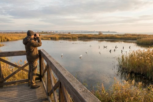 Poda Protected Area Near Burgas: Birdwatching Day Trip from Ravda